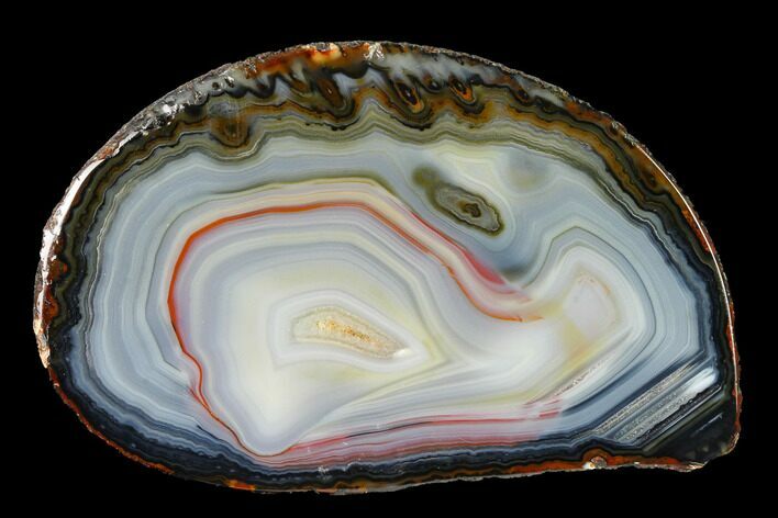 Cut & Polished Brazilian Agate With Colorful Banding #146270